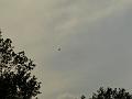 AUS05062009 (100)